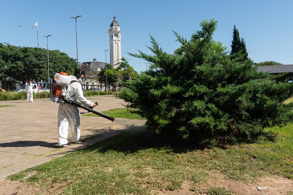 461957 |  - Juan Pablo Allegue