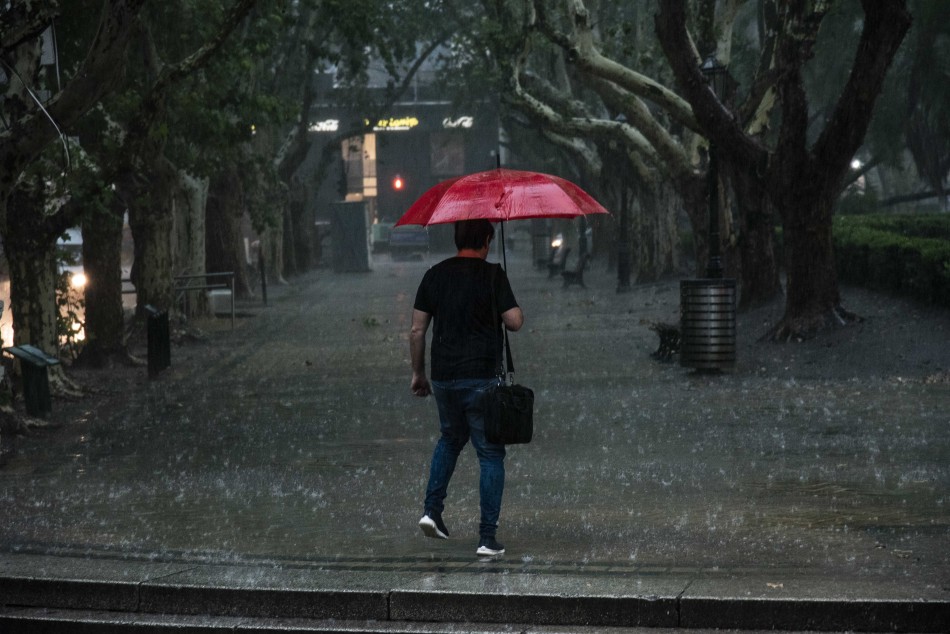 472928 | Lluvia - Subsecretaría de Comunicación Social (Silvio Moriconi)
