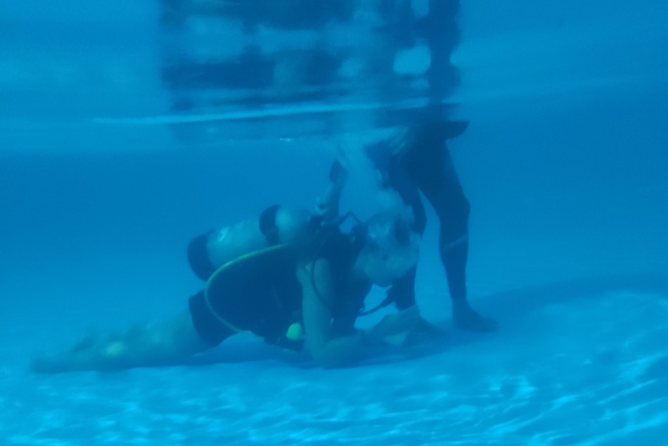 474548 | Las y los participantes vivieron su  -