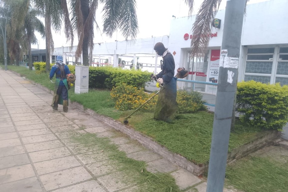 479495 | El municipio intensifica tareas de desmalezado en espacios verdes y vía pública -