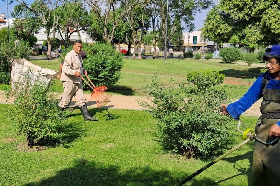 479496 | El municipio intensifica tareas de desmalezado en espacios verdes y vía pública -