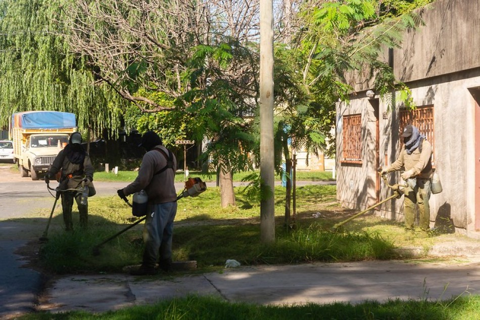 485984 | El municipio realizó tareas de limpieza y desmalezado en espacios verdes y vía pública - Secretaría de Ambiente y Espacio Público (Juan Pablo Allegue)