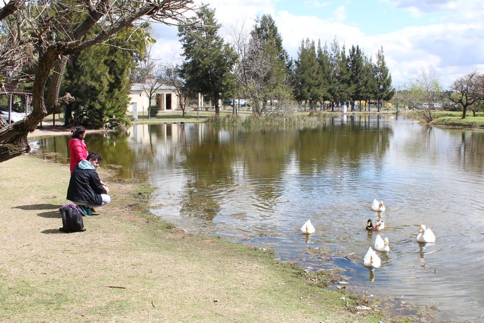 486192 | Bosque de los Constituyentes  - Municipalidad de Rosario (archivo)