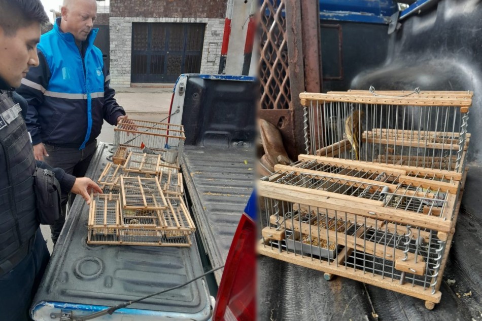 496340 |  - Secretaría de Control