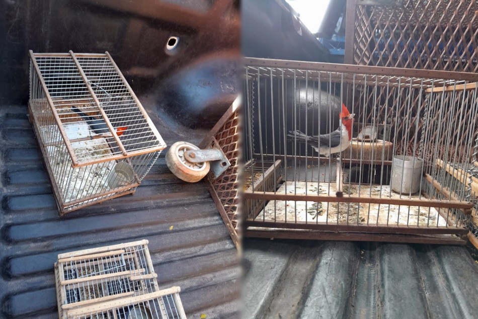 496341 |  - Secretaría de Control