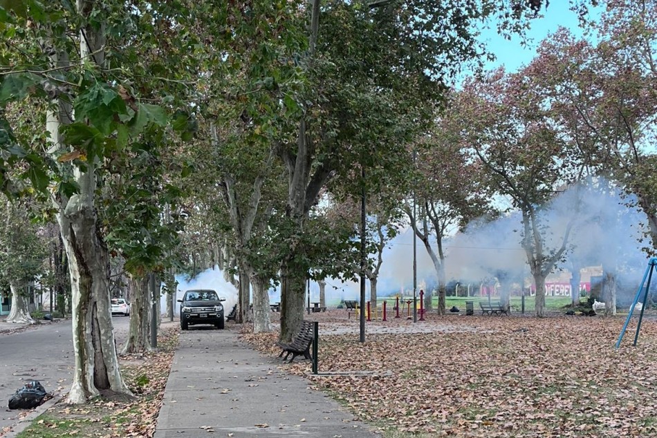 497352 | Continúan los operativos de fumigación en toda la ciudad - Secretaría de Ambiente y Espacio Público