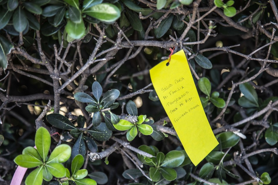 503796 | El plan de las estrellas en CAM - Sec. de Cultura y Educación (Guillermo Turin Bootello)