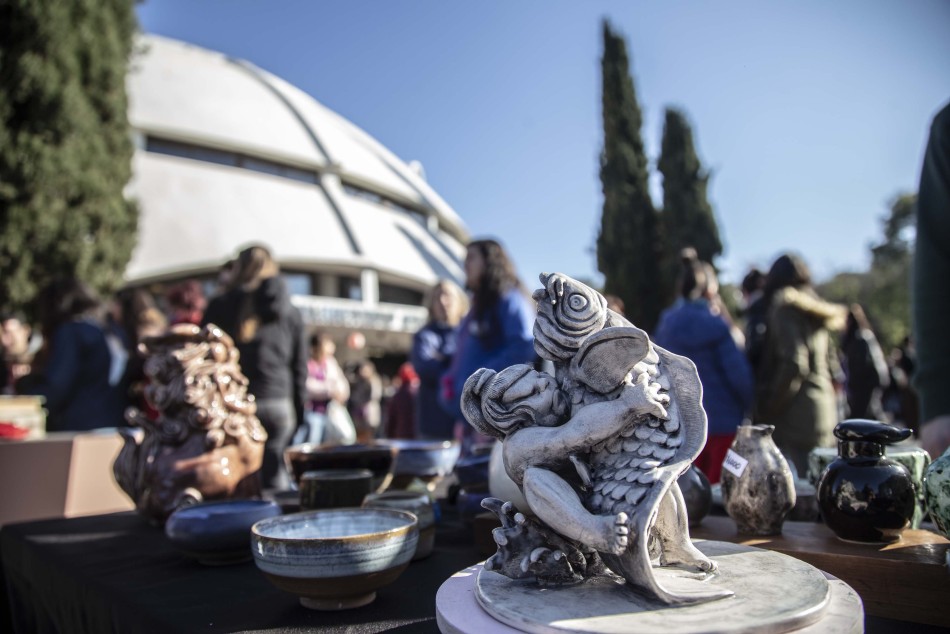 503804 | El plan de las estrellas en CAM - Sec. de Cultura y Educación (Guillermo Turin Bootello)