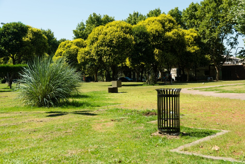 517201 | Árboles en Rosario - Secretaría de Ambiente y Espacio Público