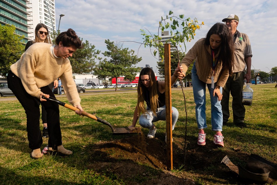517267 | Plantación de árboles con escuelas de la ciudad - Secretaría de Ambiente y Espacio Público