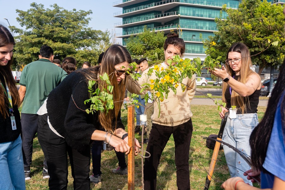 517268 | Plantación de árboles con escuelas de la ciudad - Secretaría de Ambiente y Espacio Público