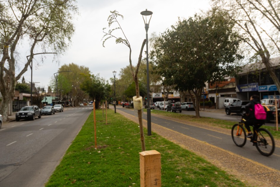521016 | Plantación de árboles en bulevar Oroño - Secretaría de Ambiente y Espacio Público (Juan Pablo Allegue)