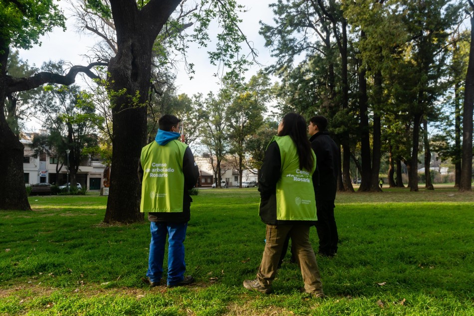 521320 | El municipio inició el censo de arbolado en espacios verdes - Secretaría de Ambiente y Espacio Público (Juan Pablo Allegue)