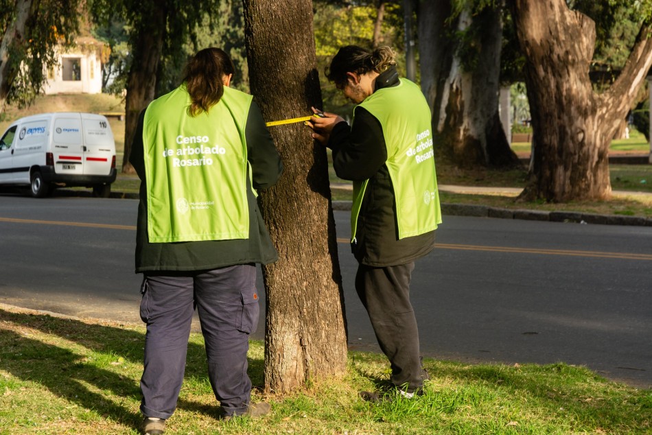 521321 | El municipio inició el censo de arbolado en espacios verdes - Secretaría de Ambiente y Espacio Público (Juan Pablo Allegue)