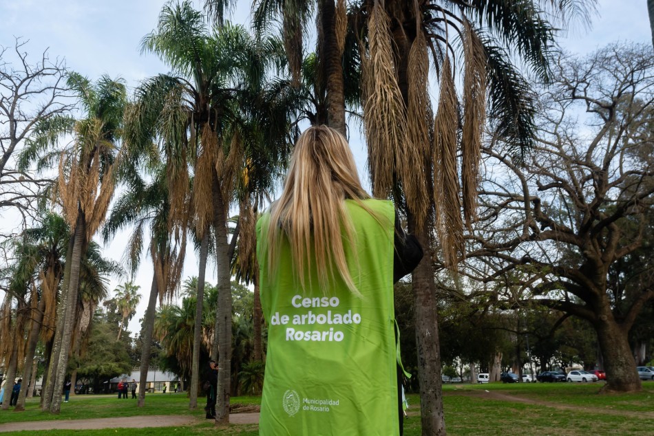 521322 | El municipio inició el censo de arbolado en espacios verdes - Secretaría de Ambiente y Espacio Público (Juan Pablo Allegue)