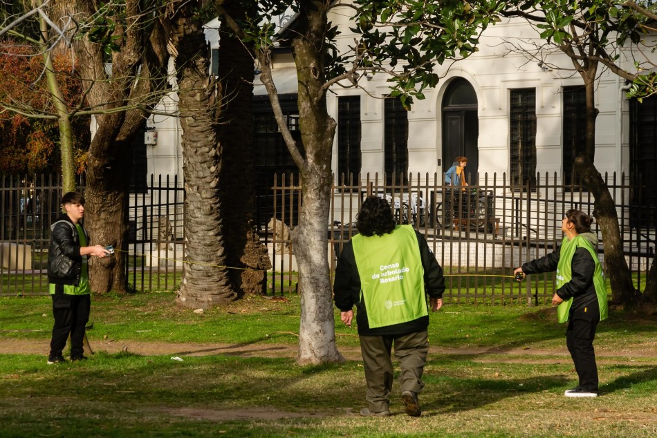 521325 | El municipio inició el censo de arbolado en espacios verdes - Secretaría de Ambiente y Espacio Público (Juan Pablo Allegue)