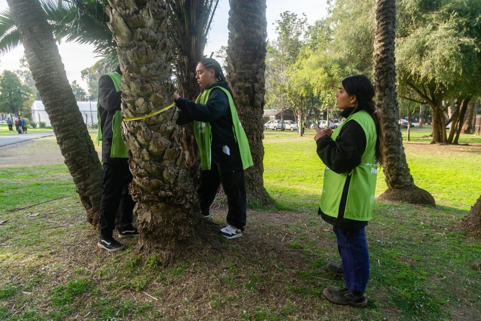 521328 | El municipio inició el censo de arbolado en espacios verdes - Secretaría de Ambiente y Espacio Público (Juan Pablo Allegue)