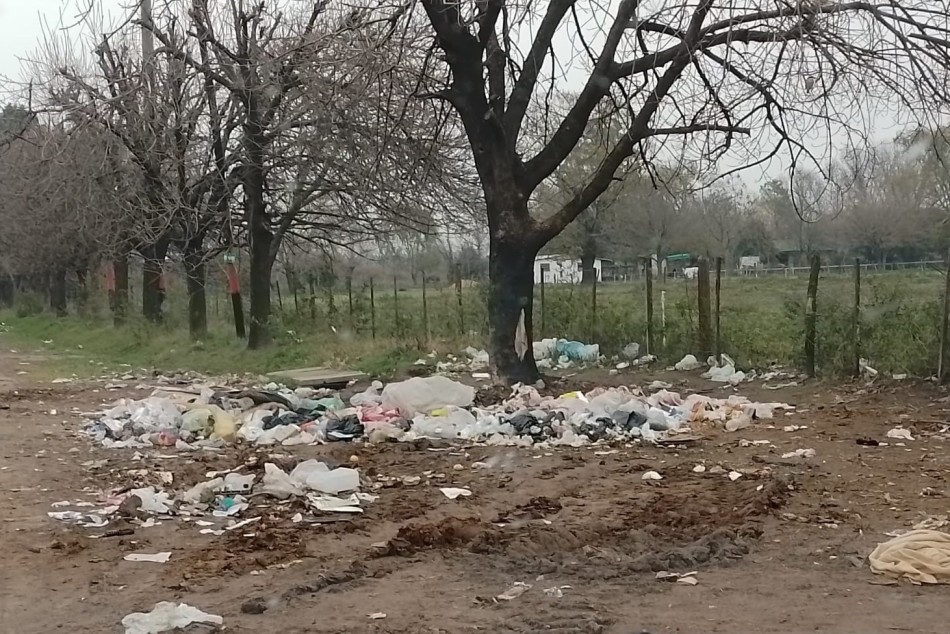 523097 | Erradicación en barrio Puente Gallego - Secretaría de Ambiente y Espacio Público