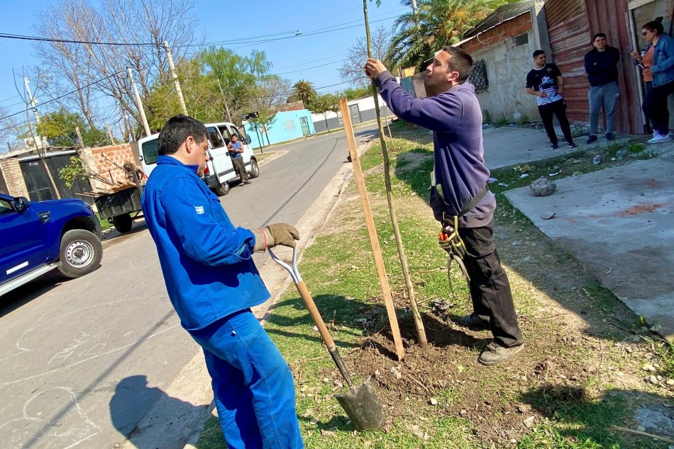 523609 | El municipio planta árboles en barrios de todos los distritos - Municipalidad de Rosario