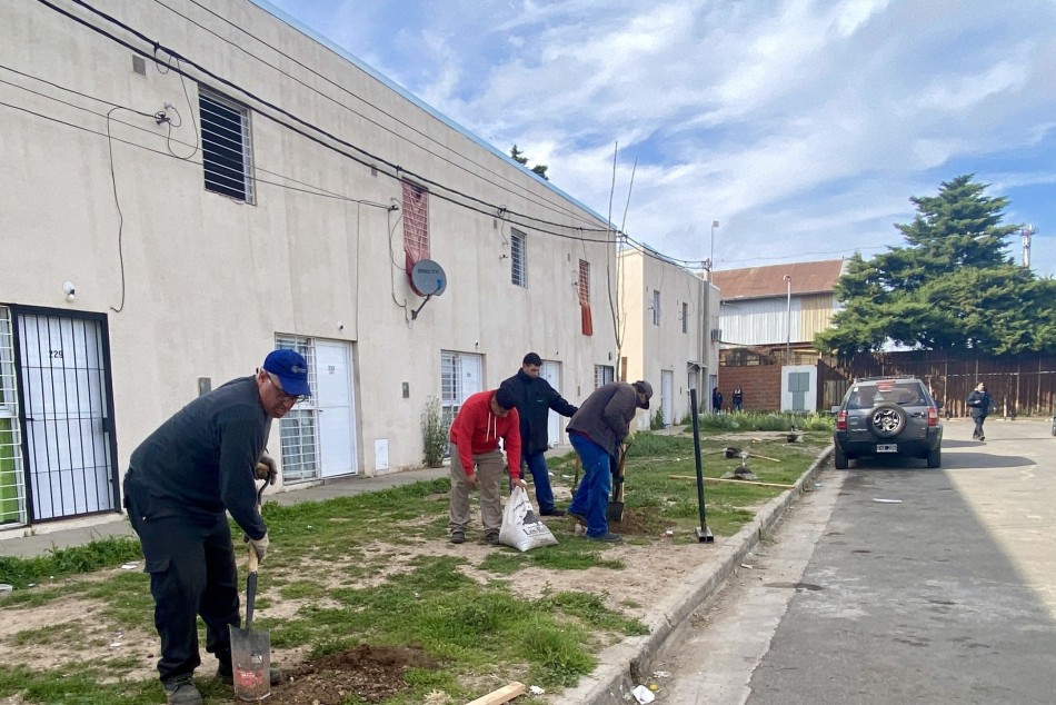523608 | El municipio planta árboles en barrios de todos los distritos - Municipalidad de Rosario