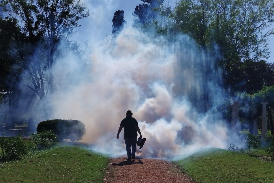 531787 | El municipio realiza operativos de fumigación en espacios verdes - Secretaría de Ambiente y Espacio Público