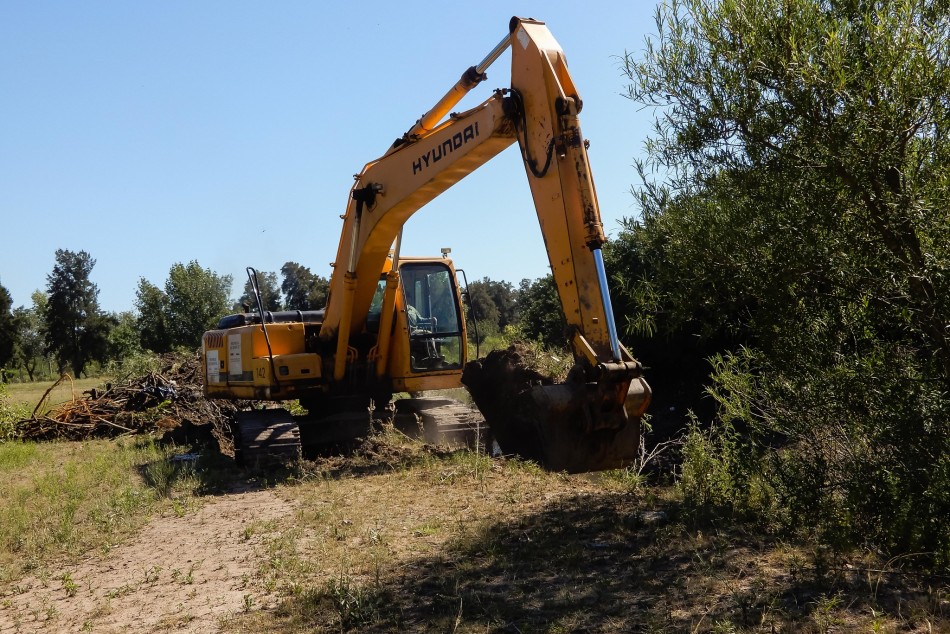 552015 |  - Secretaría de Ambiente y Espacio Público