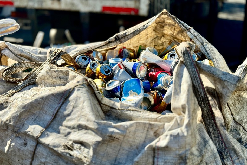 554583 |  - Secretaría de Desarrollo Humano y Hábitat