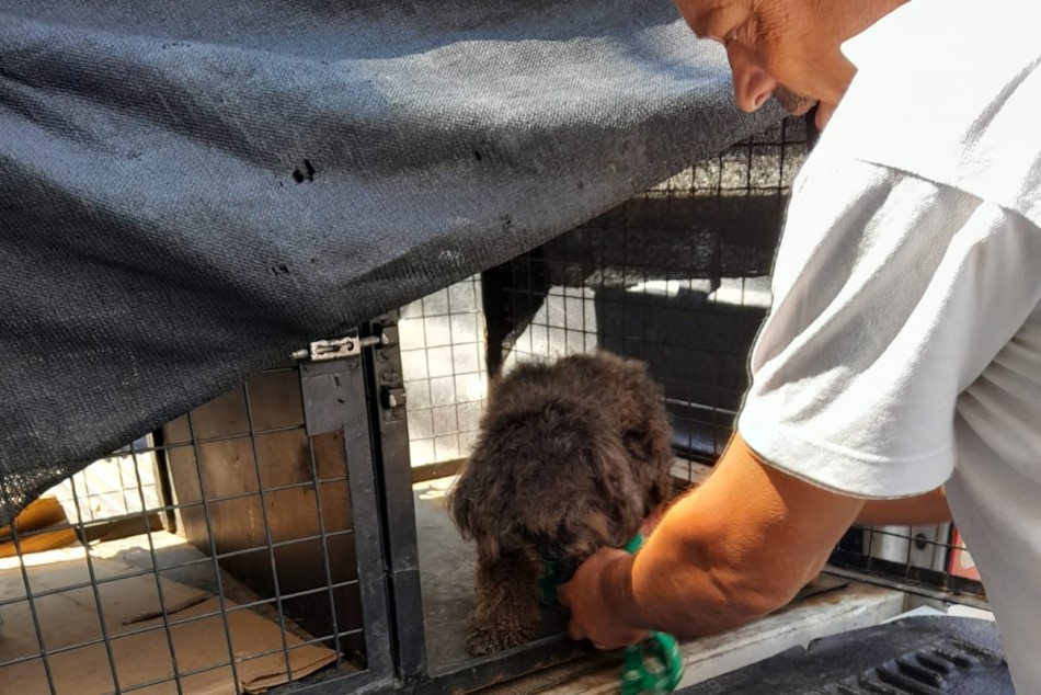 556319 |  - Secretaría de Control