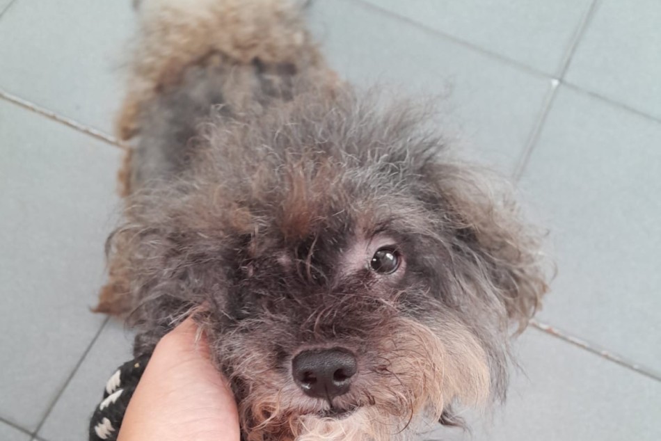 556321 |  - Secretaría de Control