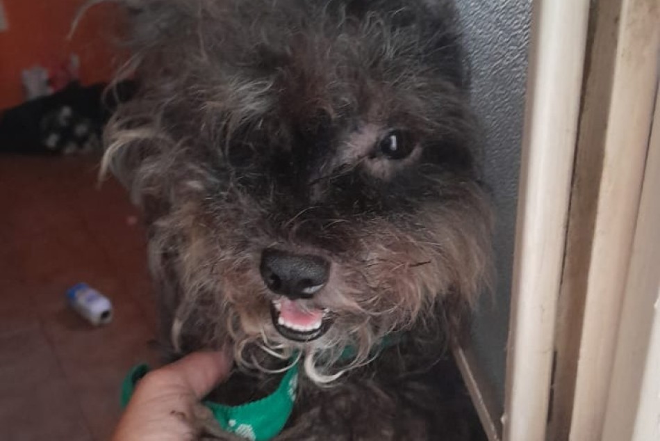 556322 |  - Secretaría de Control