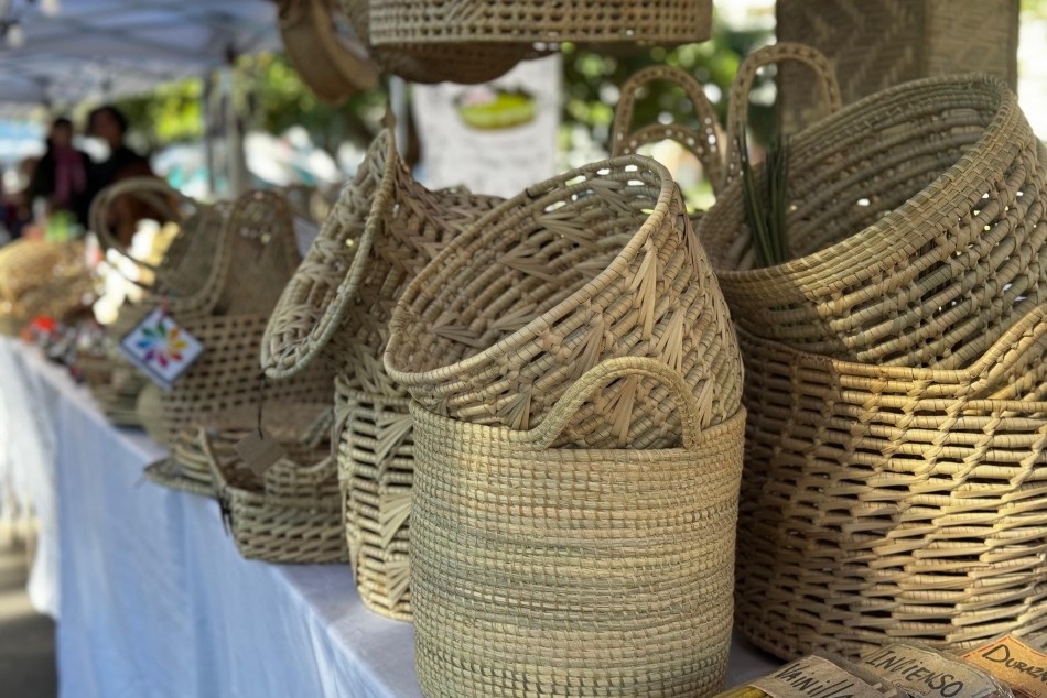 560358 |  - Municipalidad de Rosario