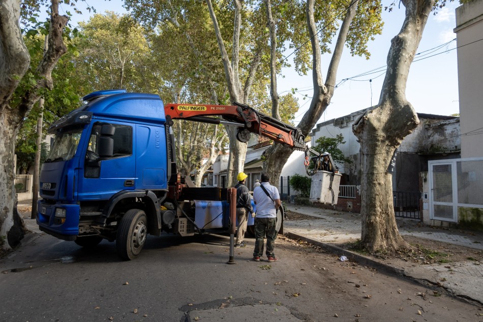 567270 | El municipio realiza trabajos de mantenimiento del arbolado público - Secretaría de Ambiente y Espacio Público