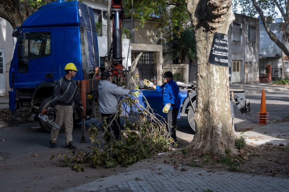 567277 | El municipio realiza trabajos de mantenimiento del arbolado público - Secretaría de Ambiente y Espacio Público