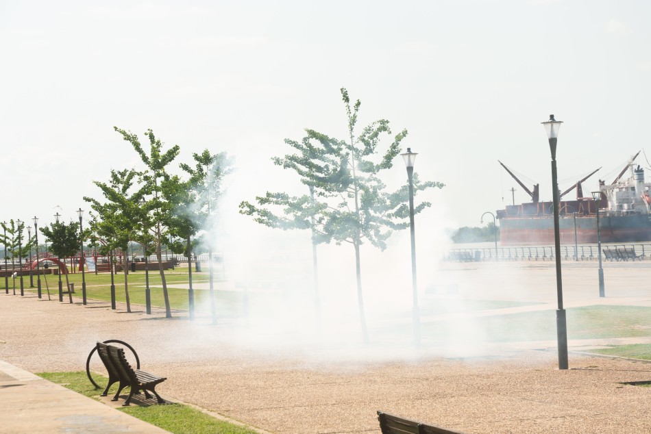 568639 | El municipio realiza operativos de fumigación en espacios verdes - Secretaría de Ambiente y Espacio Público