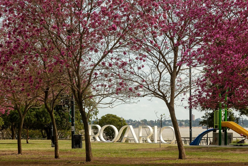 597571 |  - Juan Pablo Allegue