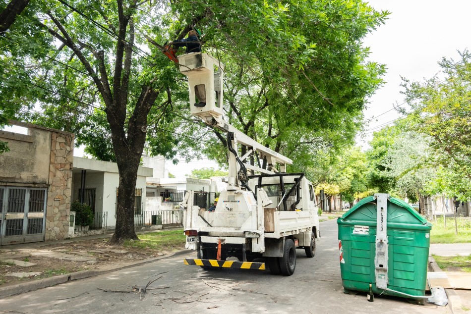 624418 |  - Municipalidad de Rosario
