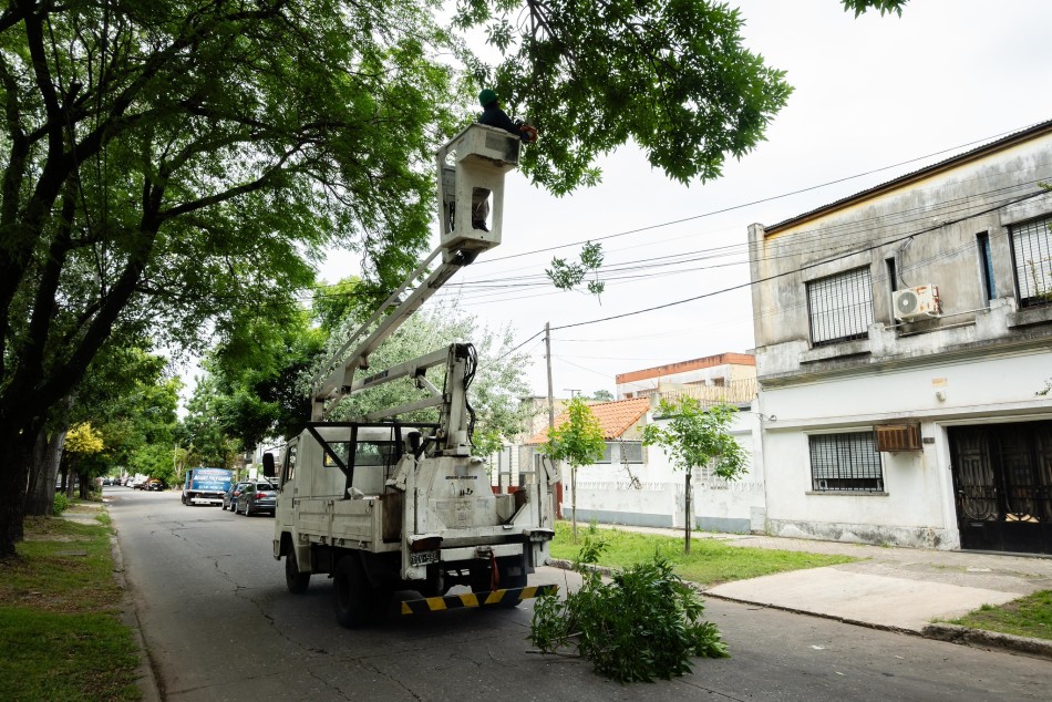 624415 |  - Municipalidad de Rosario