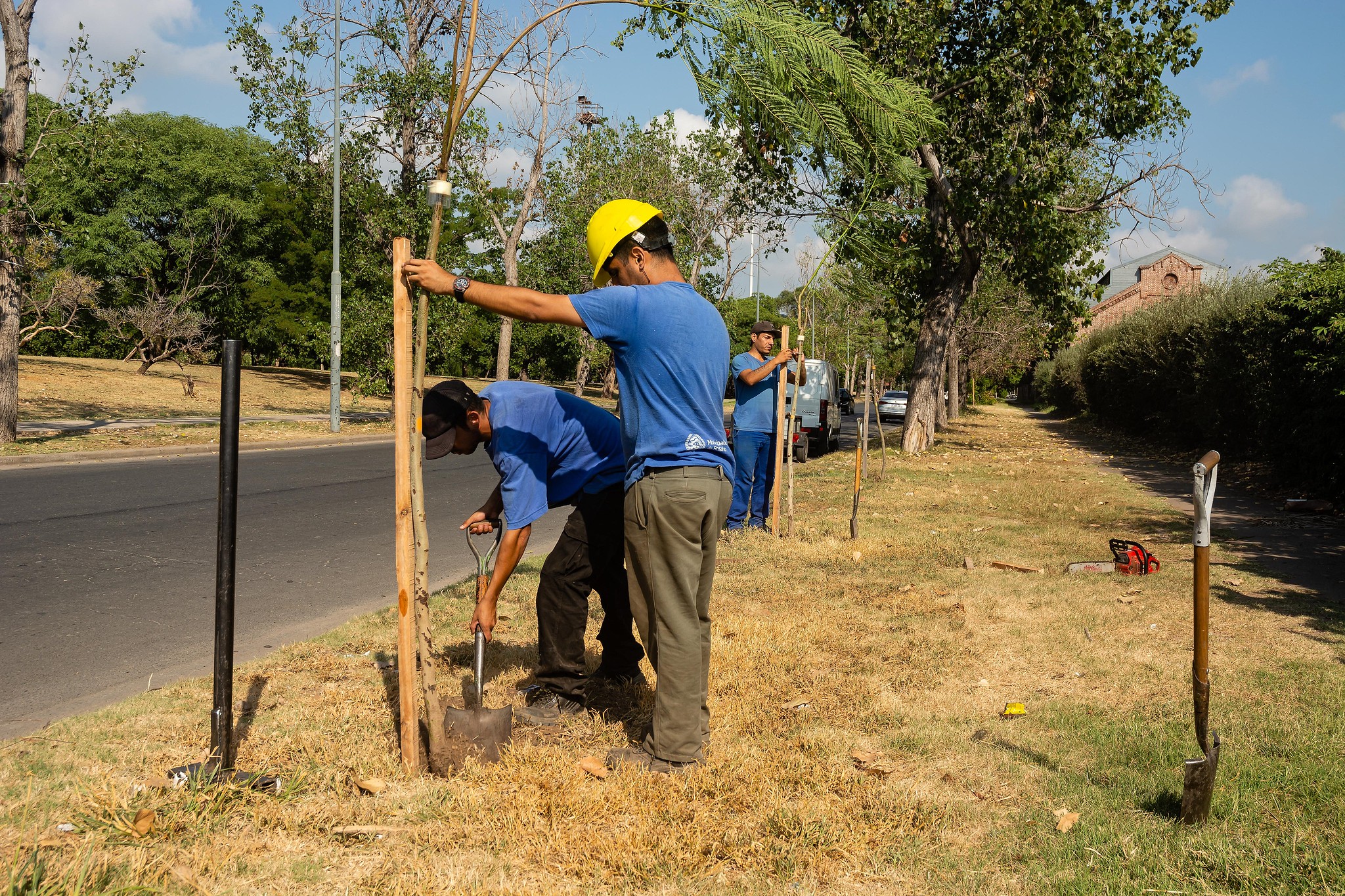 Registro De árbol · Foto de stock gratuita